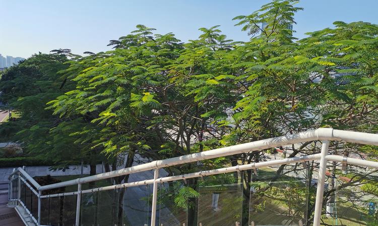 海语天悦湾周边配套图