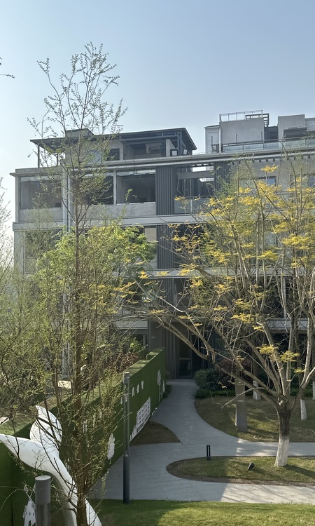 禹洲博学家施工进度图