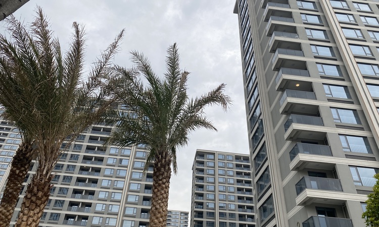 滨江旭辉滨旭府施工进度图