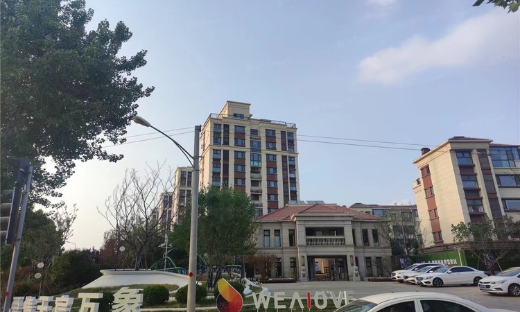 爱情天宸万象实景图