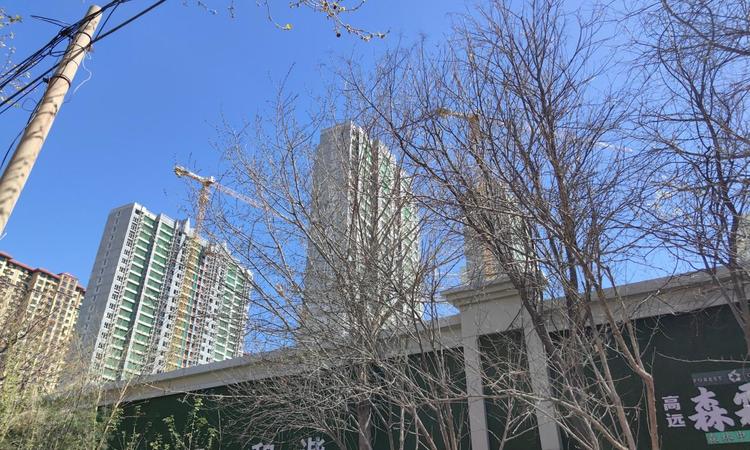 高远森霖城实景图