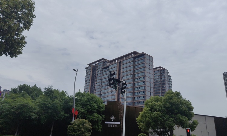 天琴华樟施工进度图