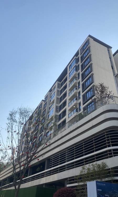 万科星光天空之城施工进度图