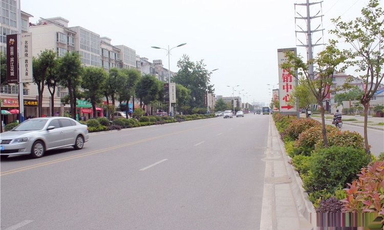 金泰·滨江花城实景图