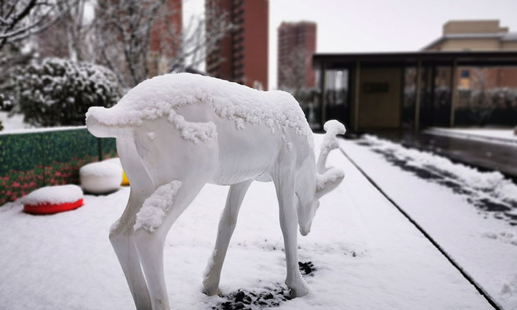 融侨阳光城皓玥实景图