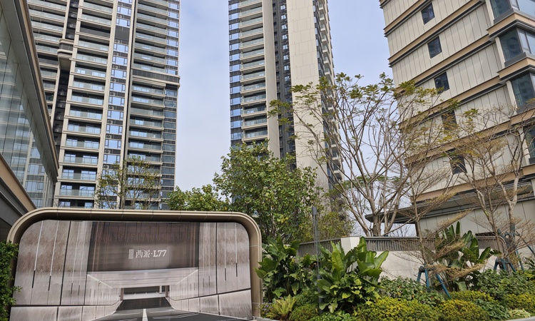 西派澜岸实景图
