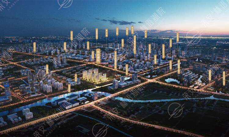 荣安林语湖院效果图