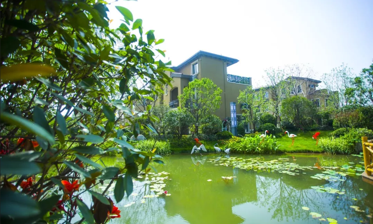 汝州碧桂园实景图