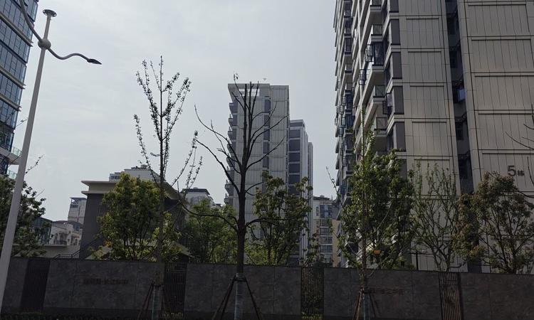 能建·长江华府施工进度图