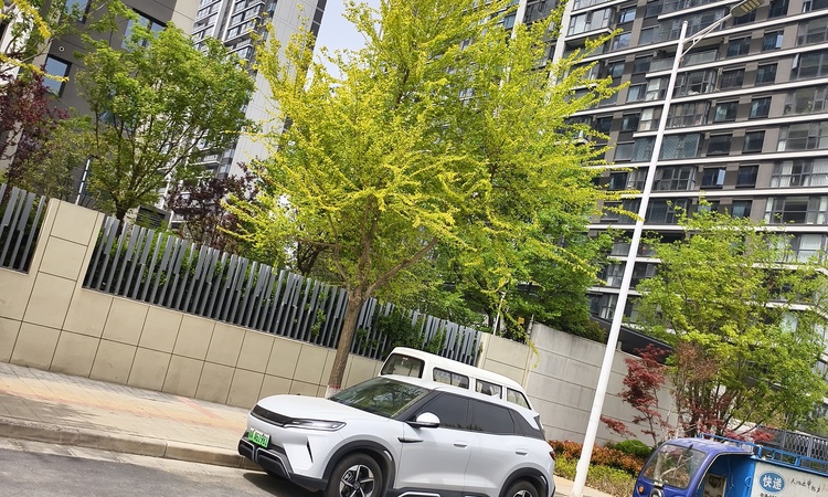 大正水晶森林实景图