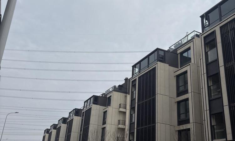 大华梧桐樾实景图