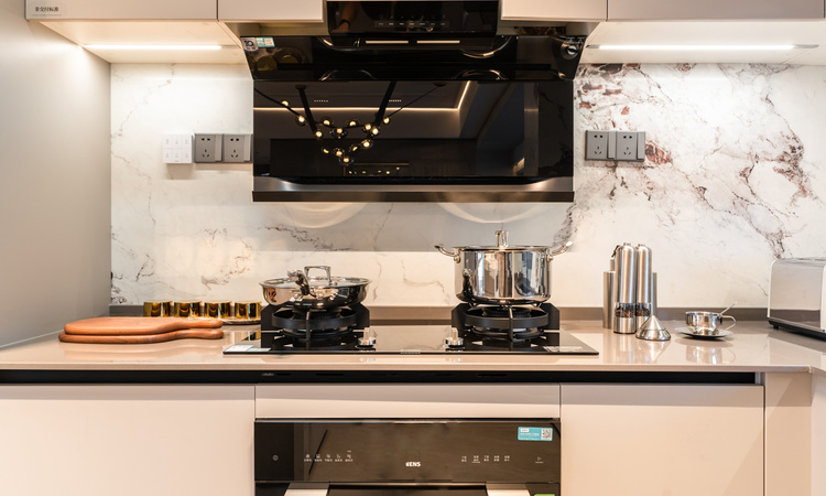 中海珑悦理样板间