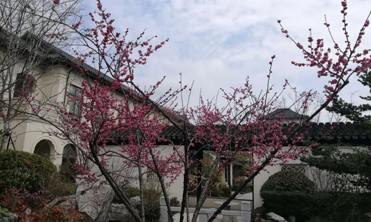 开封蓝城诚园实景图