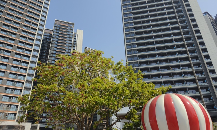 云海臻府施工进度图