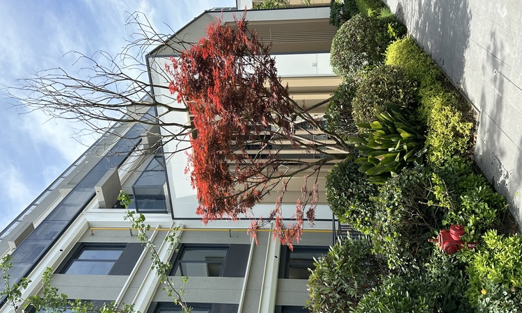 电建地产·泷悦蓝湾实景图