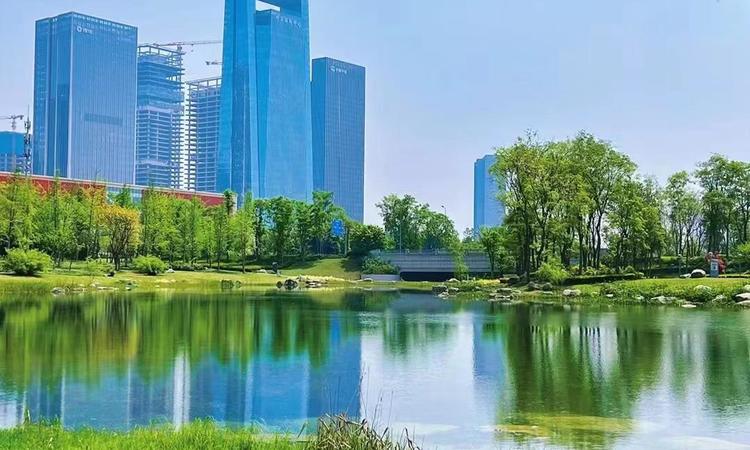 成都万达1号周边配套图