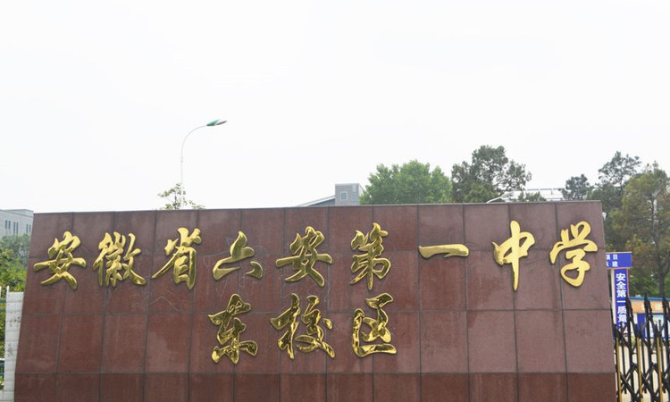 天成金域华里周边配套图