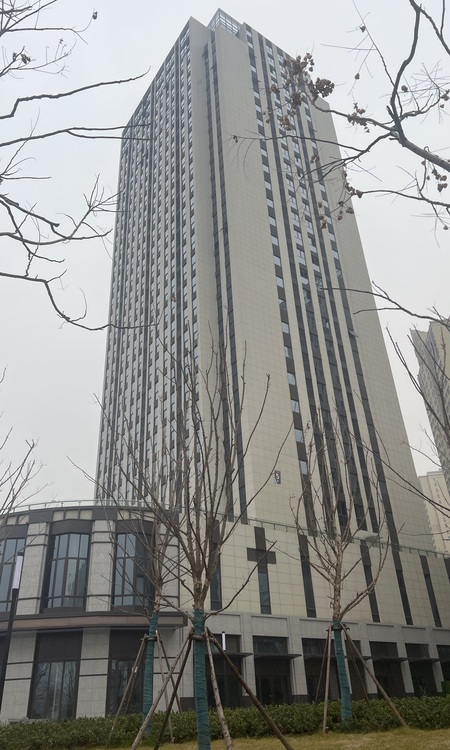 杨春湖畔·境寓实景图