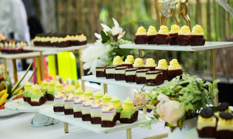 隆峻·仙屿山实景图