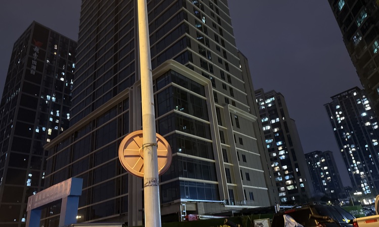 麓润·栖湖施工进度图