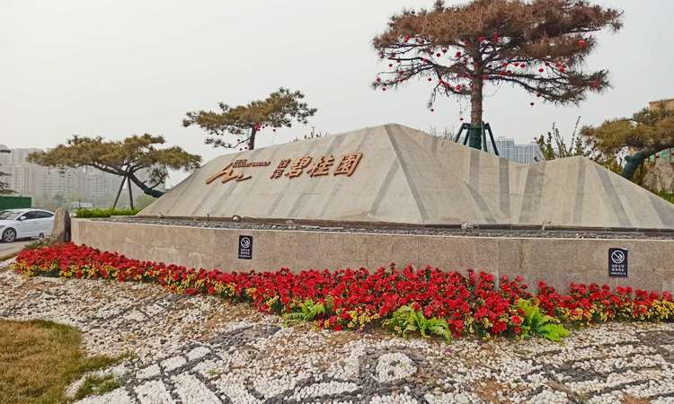 菏泽碧桂园实景图