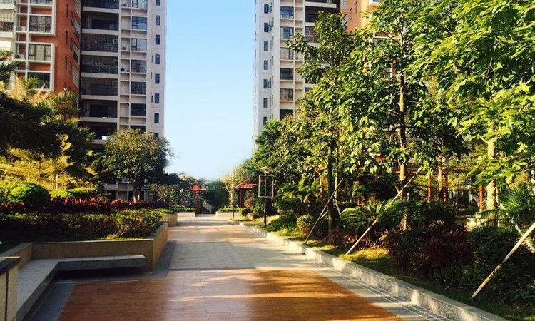 华悦·阳光里实景图