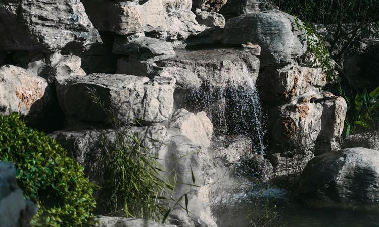 泰禾世茂大城小院实景图