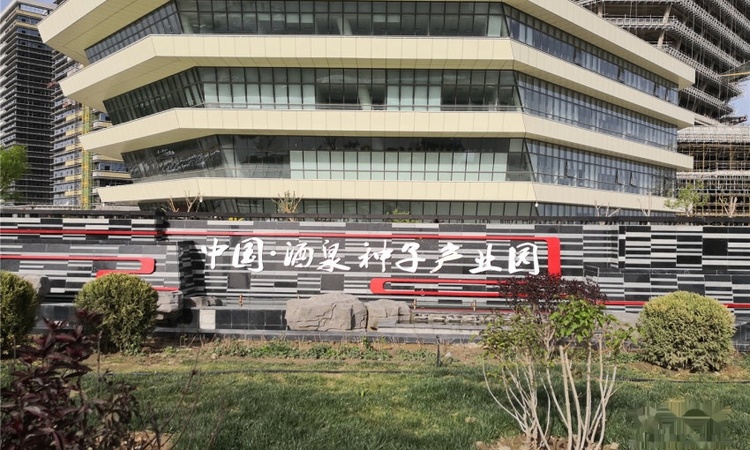 酒泉种子产业园实景图
