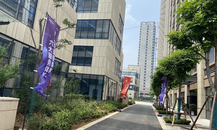 唐冶院士谷实景图