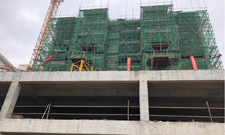 兴隆庭园施工进度图