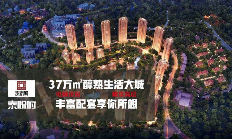 银泰城泰悦府效果图