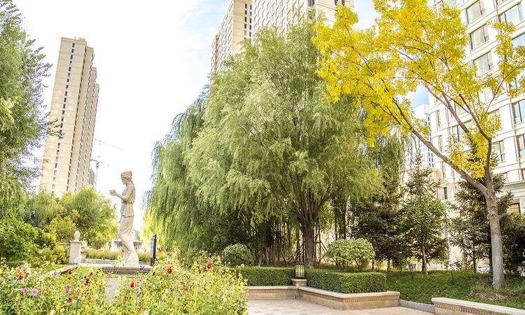 锦尚国际·锦天下 实景图