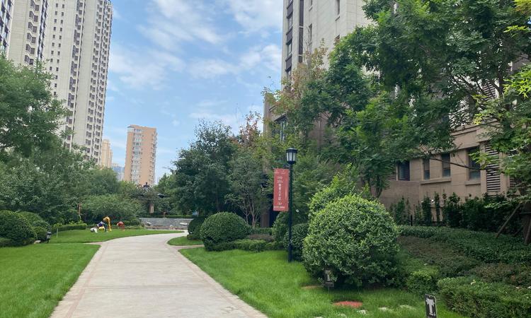 东南智汇城实景图