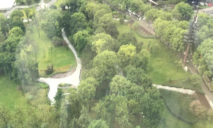 江北嘴壹号院·东苑实景图