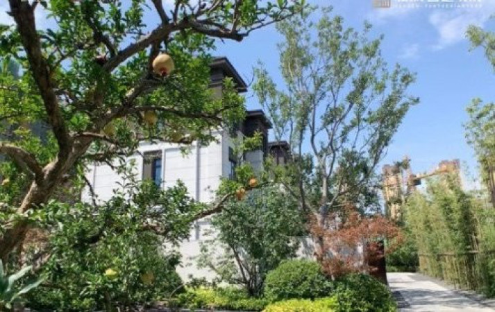 新城云樾晓院实景图