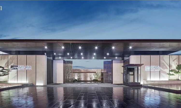 万科麓山效果图