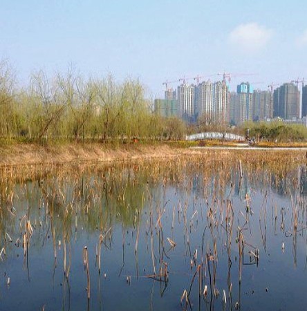 孝感碧桂园桃源周边配套图