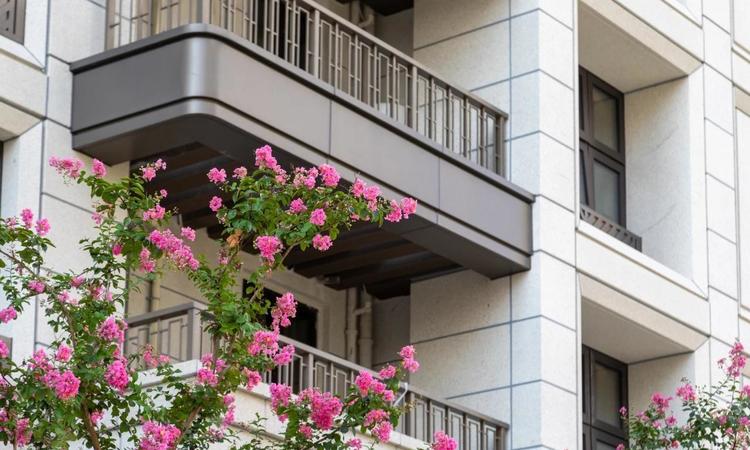 中企云萃森林实景图