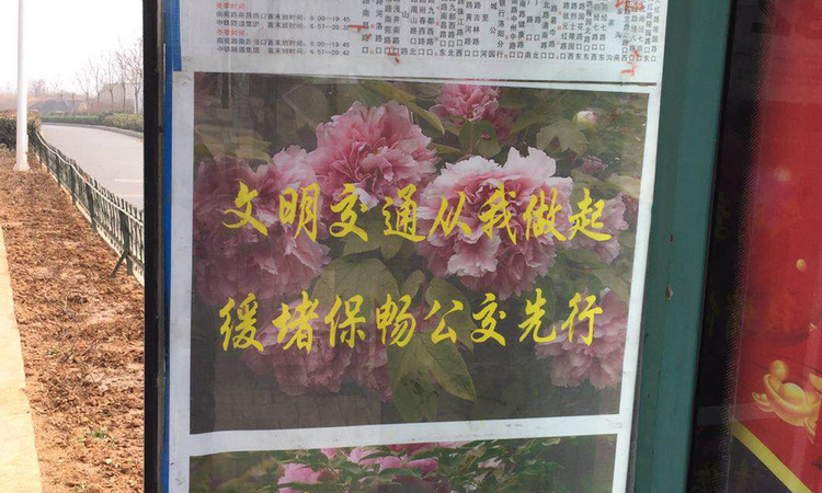建业·定鼎府周边配套图
