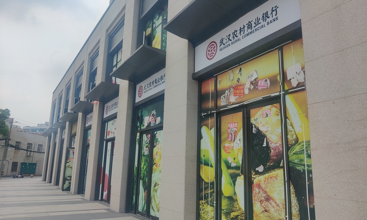 天地·雅园施工进度图