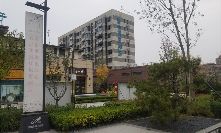 碧桂园凤翔府实景图
