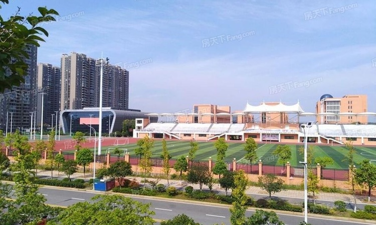 金侨·印象湘江周边配套图