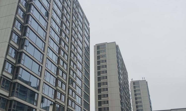 滨江城投·望品施工进度图