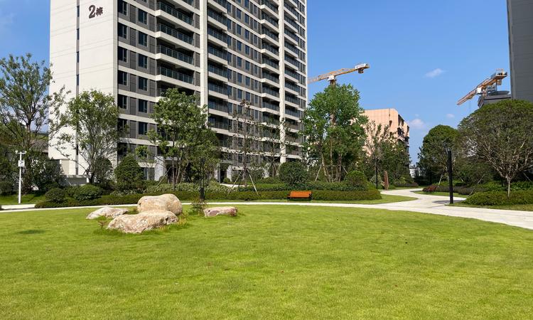 东湖风光实景图