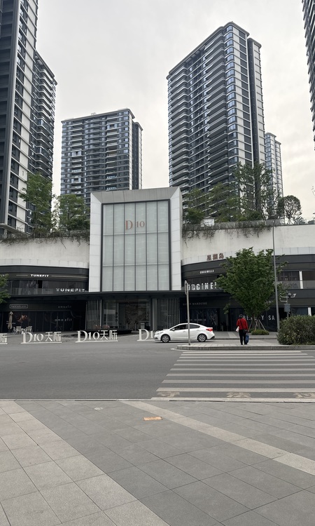 新希望D10天际实景图