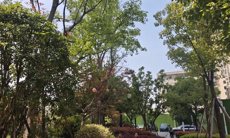 中建·湖北文旅·壹品公馆施工进度图