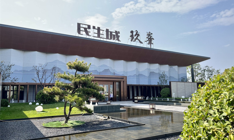 民生城·玖峯实景图