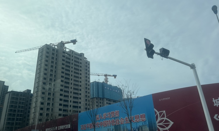 城投东方紫宸施工进度图