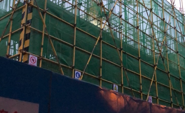 汇金荷花实景图