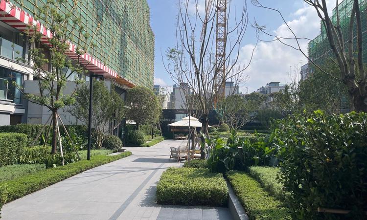 万科璞园三期施工进度图